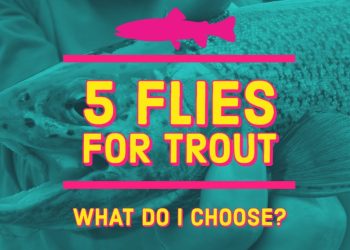 Flies for Trout Fishing | Euro Nymphing for Trout | My Confidence Flies