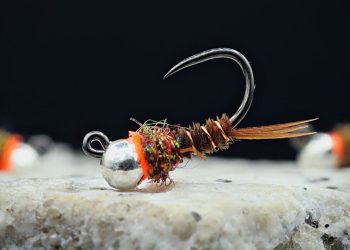 Is This the World’s MOST Popular EURO Nymph?