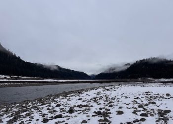 Tips and Tricks for the Change of the Season: Late Fall/Early Winter Trout Fishing