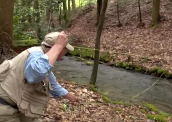 Video:  Mastering Small Stream Fly Fishing with Joe Humphreys
