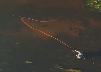 Video: “Where Silence Flows” | MidCurrent