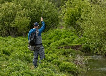 What is the Most Important Question in Fly Fishing?