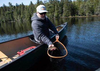 Why Fly-Fishing-Only and Special Regulations Matter for Native Fish