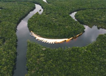 Fly Fishing Peacock Bass