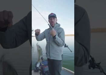 Jacob Wheeler Crankbait SECRETS 🤫