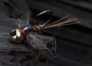 Jigged Rabbit Collar Pheasant Tail Nymph