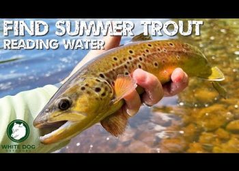 Reading Water:  Find SUMMER TROUT – Euro Nymphing