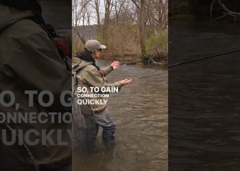 Single fly euro nymphing tips from @TroutYeah #flyfishing #euronymphing #troutfishing