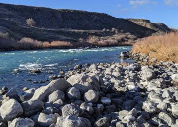 Snake River Dams Litigation Resumes After Trump Administration Revokes Biden-Era Agreement