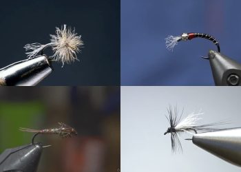 Tying Tuesday: Essential Winter Midges and Technical Nymphs
