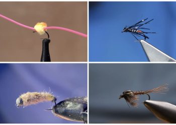 Tying Tuesday: Patterns Worth Your Vise Time