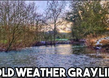 Winter Grayling Fishing: Where Are The FISH?